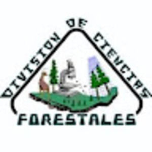 Meet your Posher, Pedro luis